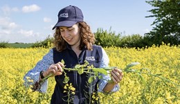 AHDB & United Oilseeds Conference 2026